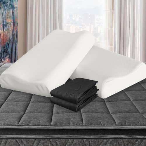 Combo 2 Almohadas Viscofoam Cervical + Fundas