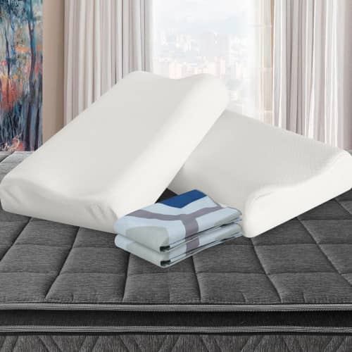 Combo 2 Almohadas Viscofoam Cervical + Fundas