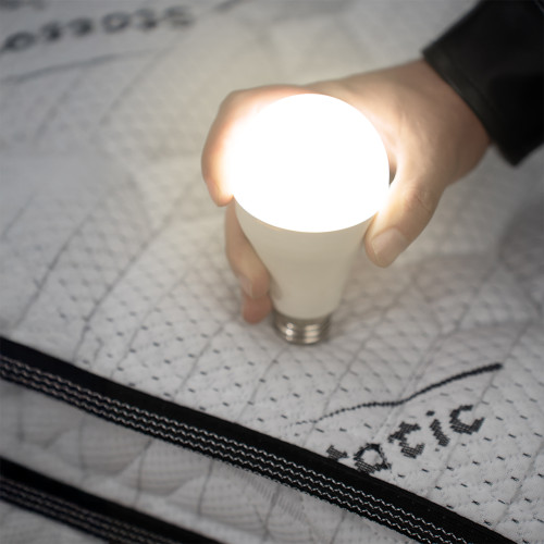 Colchón Pullpack Euro U + Cama Nido Angie